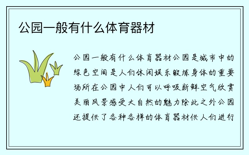 公园一般有什么体育器材