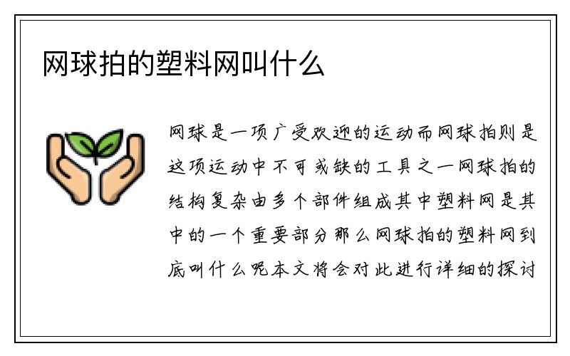 网球拍的塑料网叫什么